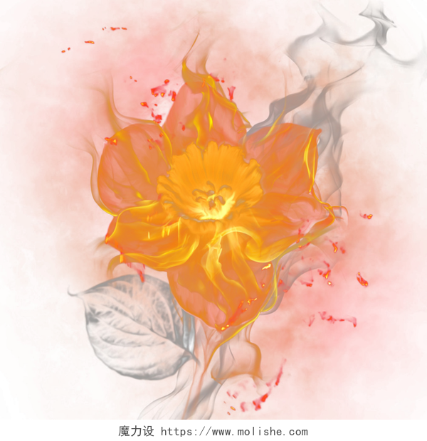 火焰元素花朵矢量图